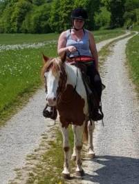 Beritt Jungpferdeausbildung im Gelände