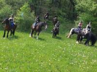 Reiten im Werra Meißner Kreis im schönen Nordhessen